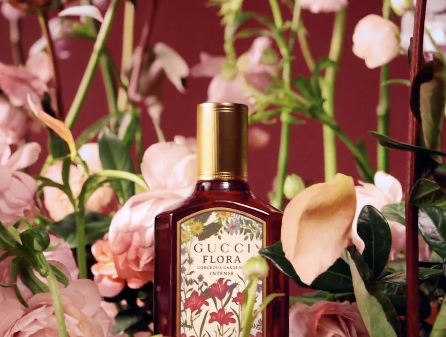 motion — SUZANNE SAROFF